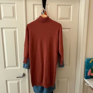 Zara Turtleneck Sweater Dress